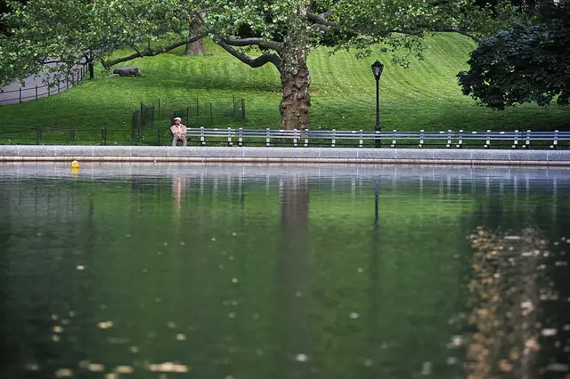 The Central Park Conservancy Waters.